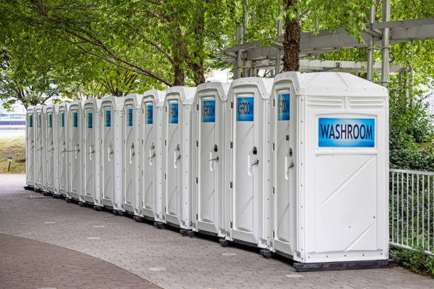 Portable Toilet Options We Offer in Roanoke, IN